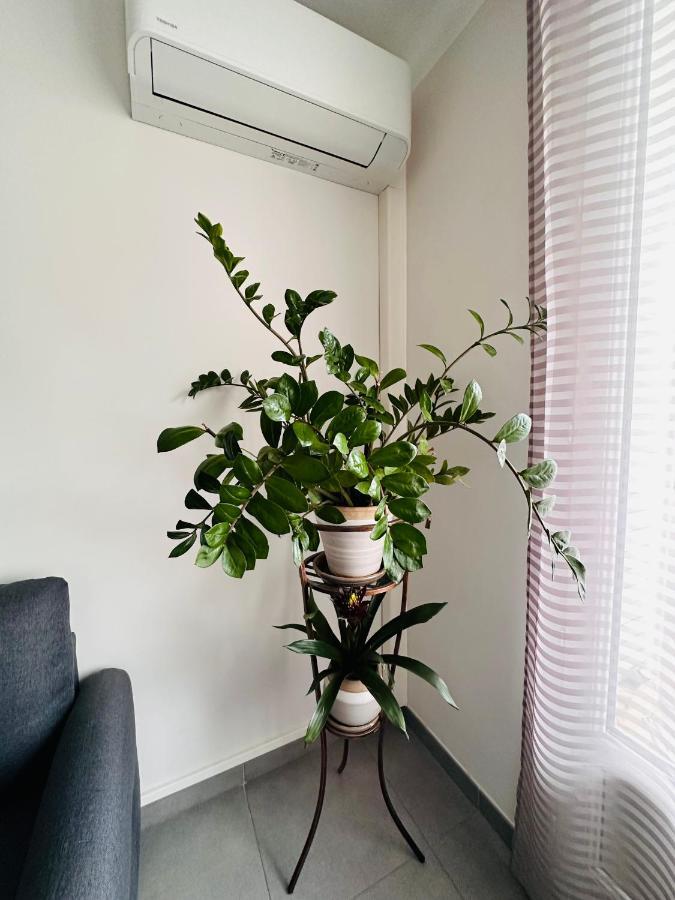 Le Soulier De Notre Dame Apartment Marseille